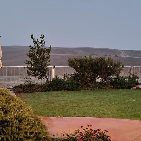 Desert Call Villa Arad Exterior photo